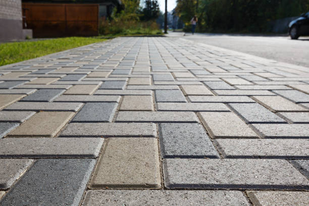 Best Driveway Paving Contractor  in Tamiami, FL